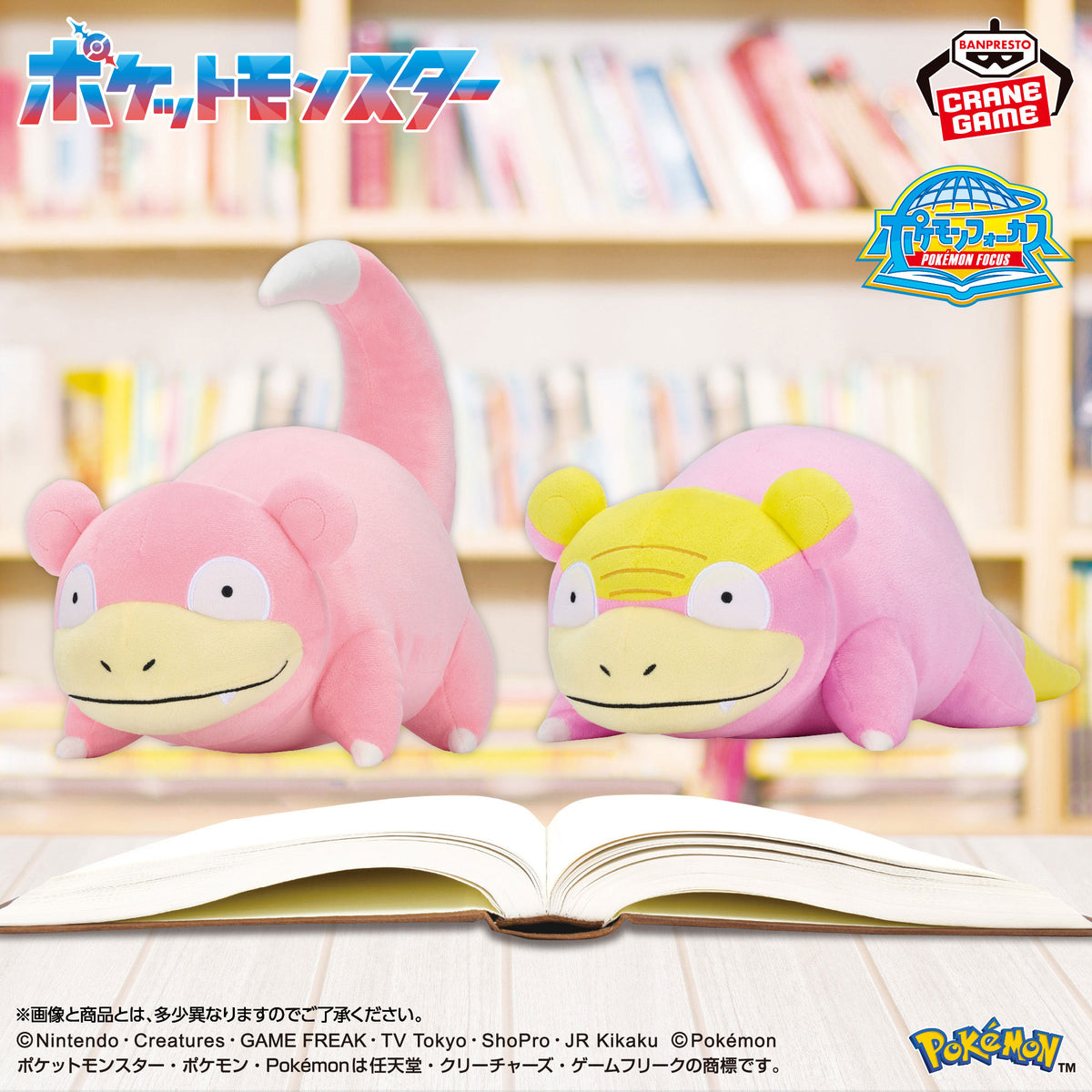Pokémon Focus Regional Forms – Peluches Ramoloss et Ramoloss de Galar Mofugutto