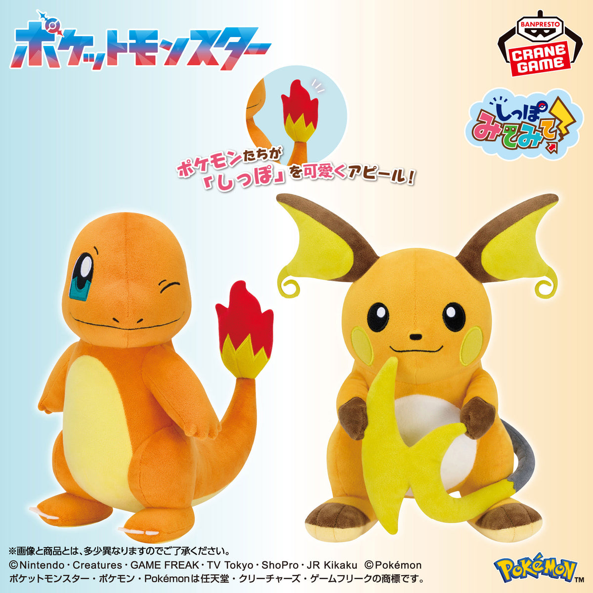 Pokémon – Peluches Salamèche et Raichu Mofugutto Shippo Mitemite