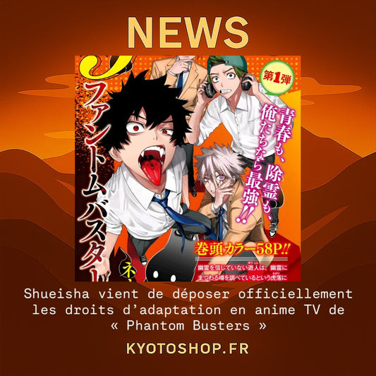 DÉCISION ANIME OFFICIELLE !