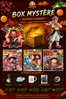 Box Mystère Silver - Univers Manga