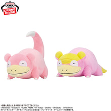 Pokémon Focus Regional Forms – Peluches Ramoloss et Ramoloss de Galar Mofugutto